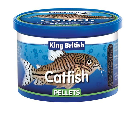 King British Catfish