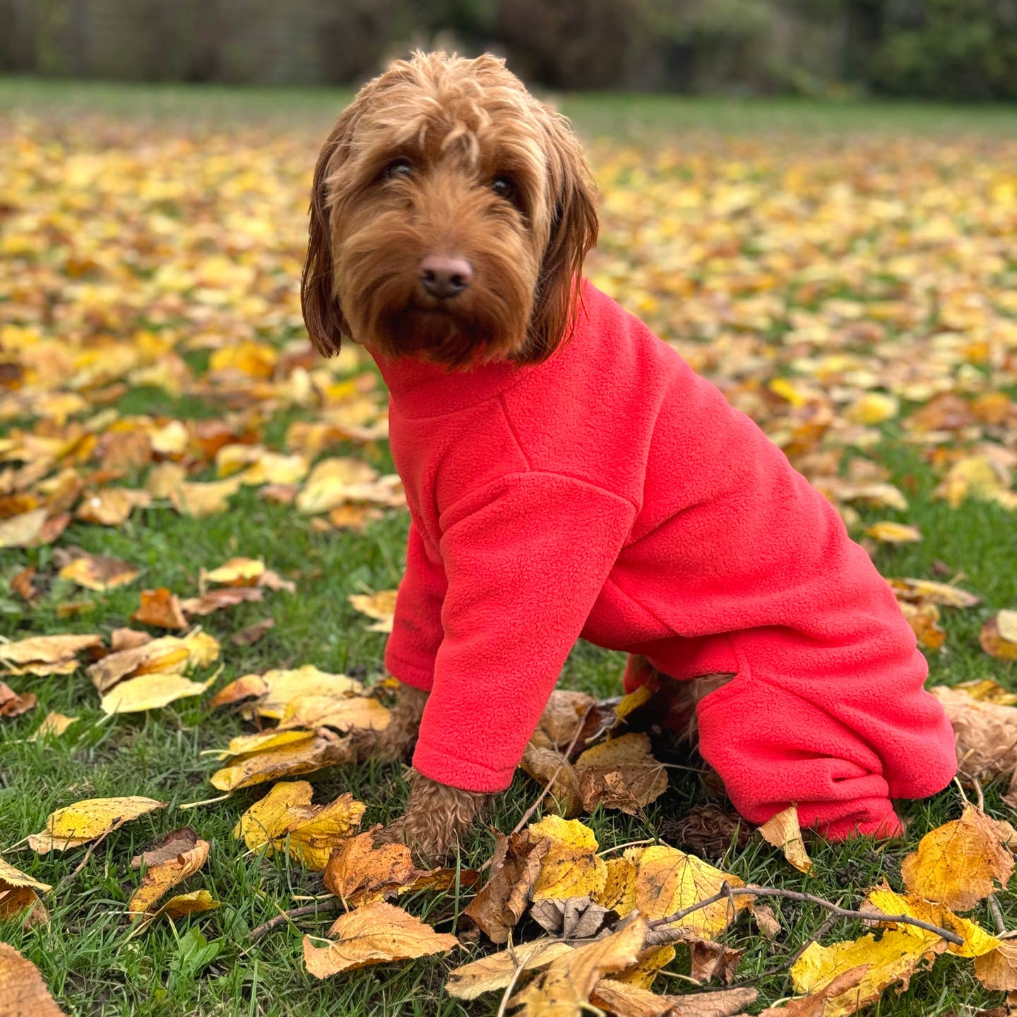 Petwiz full body fleeces