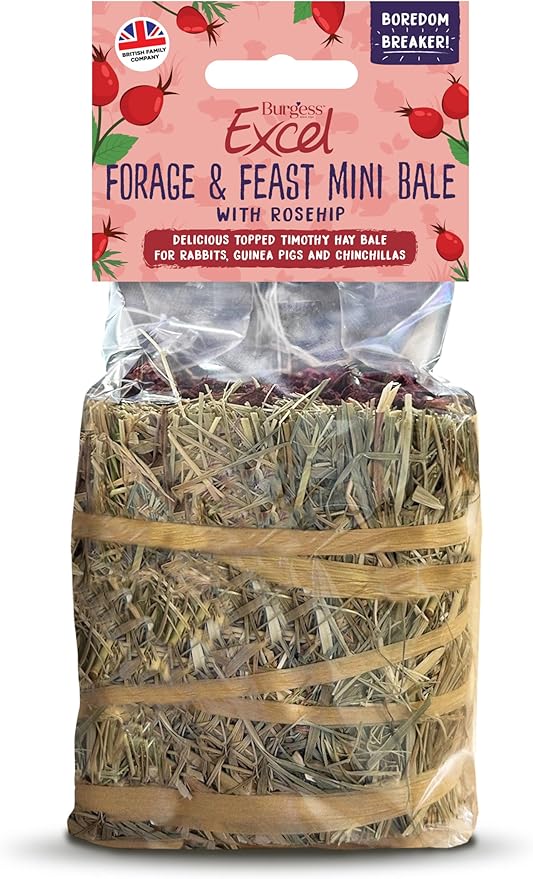 Burgess Excel Forage and feast Mini Bale with Rosehip.