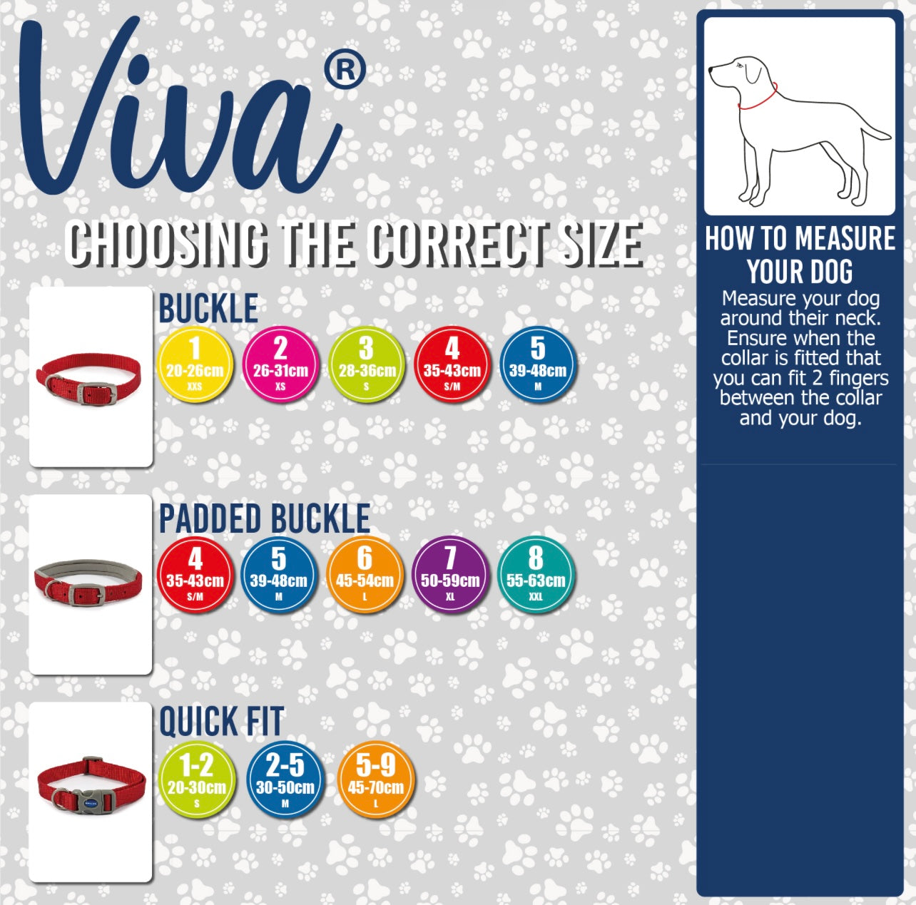 Viva Buckle Dog Collar Size 5 (28-48cm)