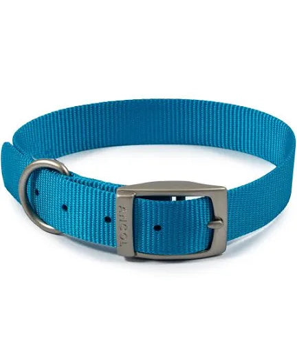 Viva Buckle Dog Collar Size 5 (28-48cm)