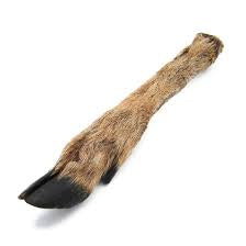 Hairy Venison Leg (small)