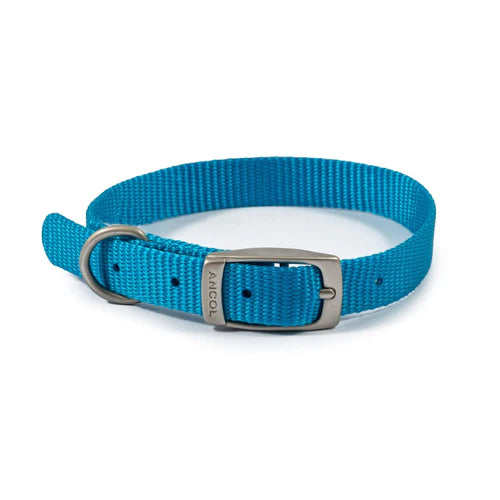 Ancol viva xxs blue dog collar. (20-26cm)