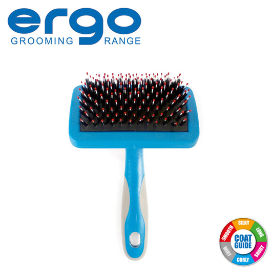 Ergo small hedgehog slicker brush.