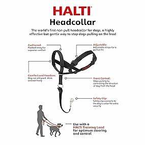 Halti - Head Collar