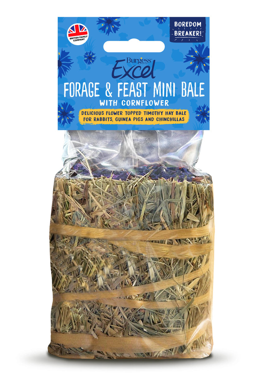 Burgess Excel Forage and Feast MIni Bale with Cornflower