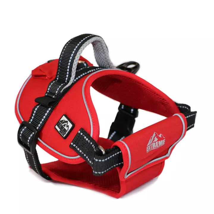 Ancol Extreme Harness