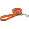 Ancol orange bone design reflective lead.