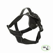 Ancol Extreme Harness